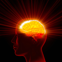 Gallery Photo of All of our services are supported by a Brain-Based platform that promotes learning, growth, and development at the level of the brain and neurons.