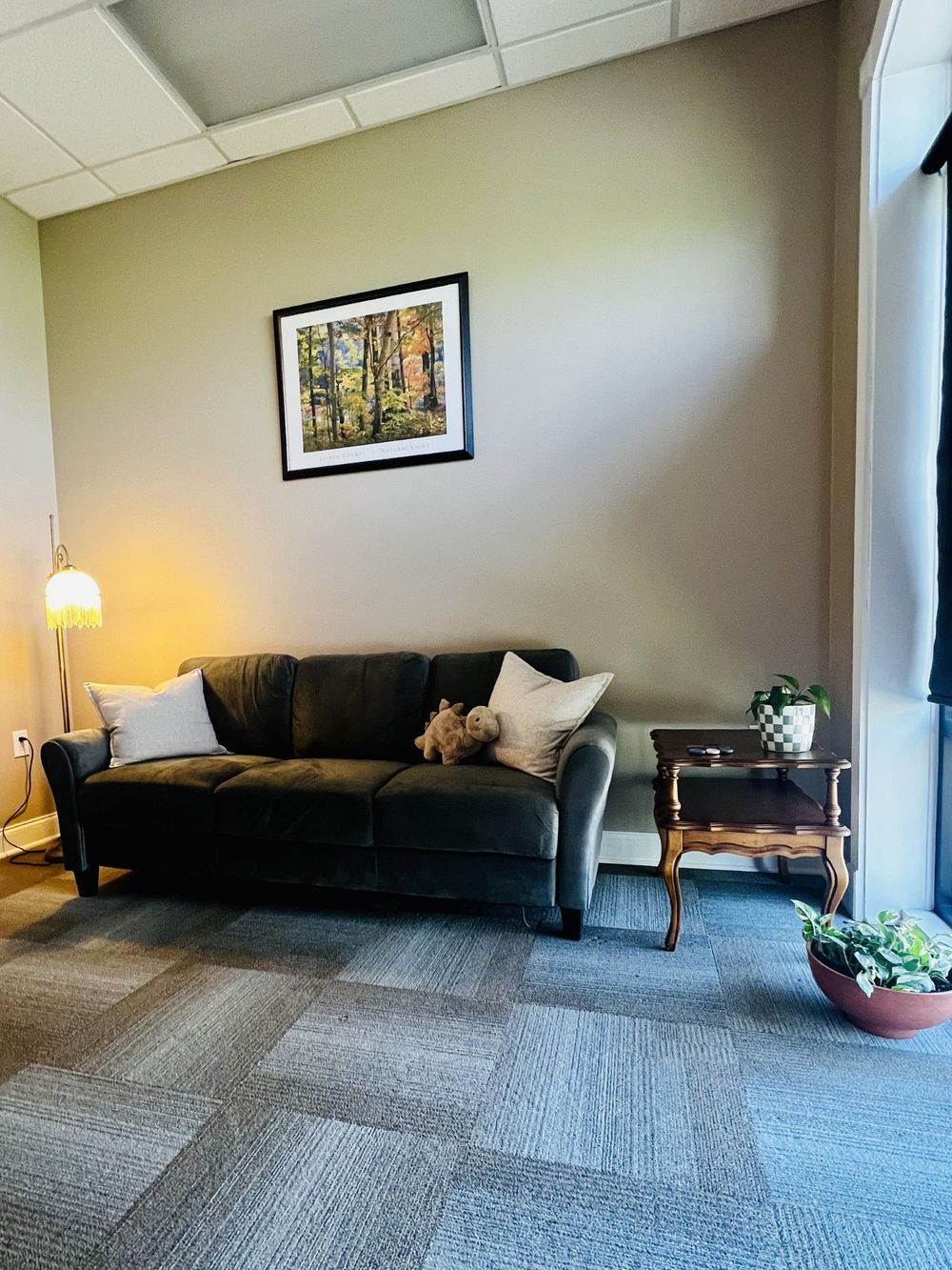 My office space is warm and inviting. I have fidgets and stuffed animals for you to use too!