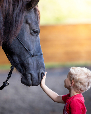 Photo of Equuvation at Rocky Creek Ranch, Treatment Center in Winston Salem, NC