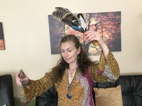 Photo gallery photo