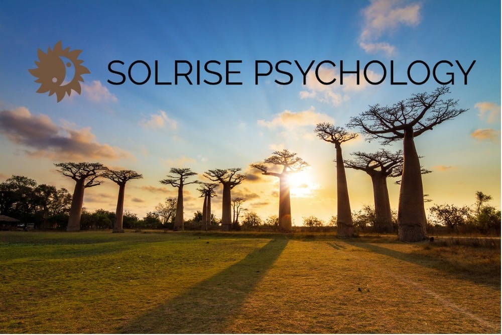 I offer video counseling sessions online. solriseonlinetherapy.com