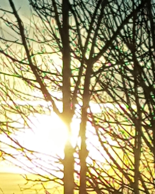 Photo of Zainab Abdul, Counsellor, DCounsPsych, MBACP Accred