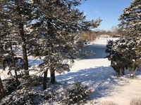 Gallery Photo of winter scene client view