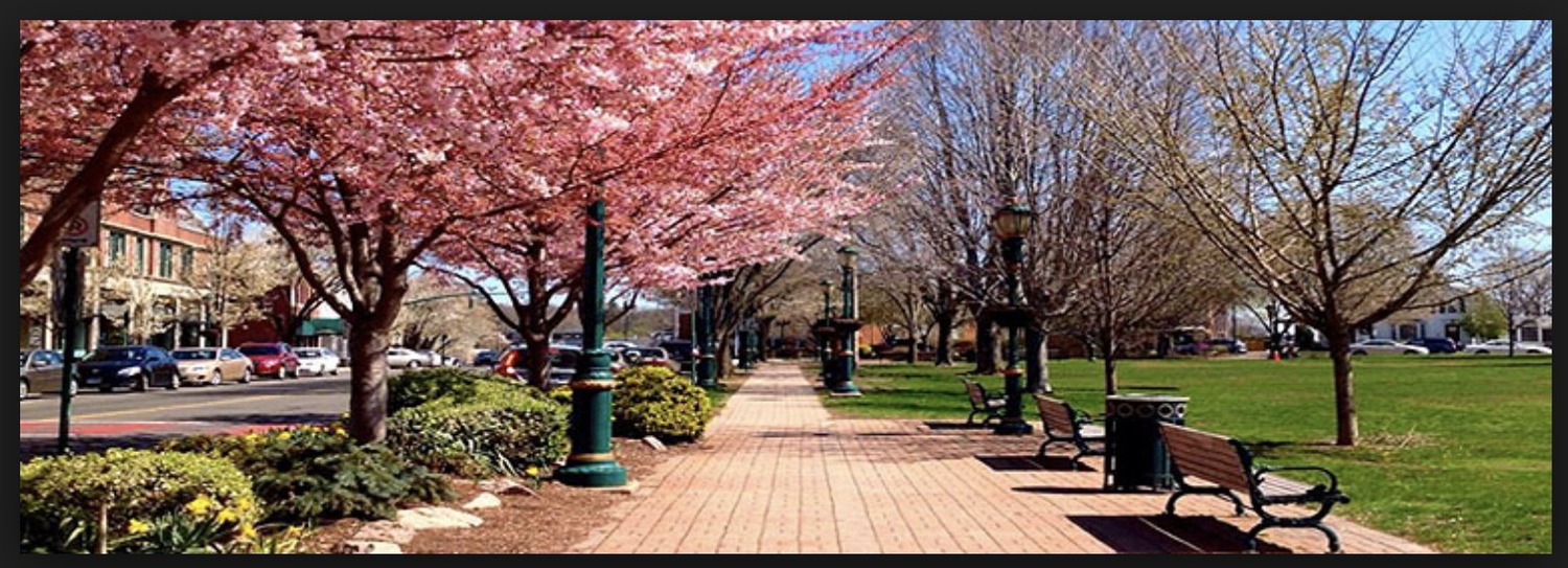 Gallery Photo of The studio, located just 12 minutes from downtown New Haven, overlooks the historic Branford Green and Town Center (shown here in early spring).