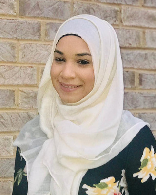 Photo of Inas Abuhasna, Licensed Professional Counselor in Palos Heights, IL