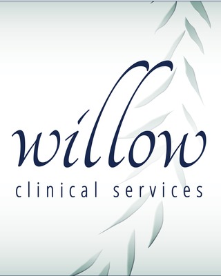 Photo of Willow Clinical Services, Counselor in Bolingbrook, IL