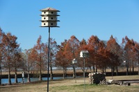 Gallery Photo of Birdhouses on the Burning Tree Ranch campus near Burning Tree Ranch Lake.