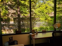 Gallery Photo of Large office windows offer beautiful views.