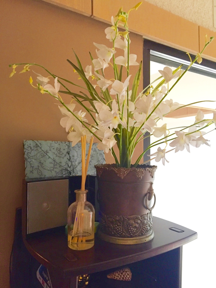 H. K. Blaisdell Brennan, Psychiatrist, Honolulu, HI, 96813 Psychology