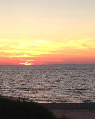 Photo of Tammy Edinger- Life's A Beach Counseling Center, Clinical Social Work/Therapist in Holland, MI