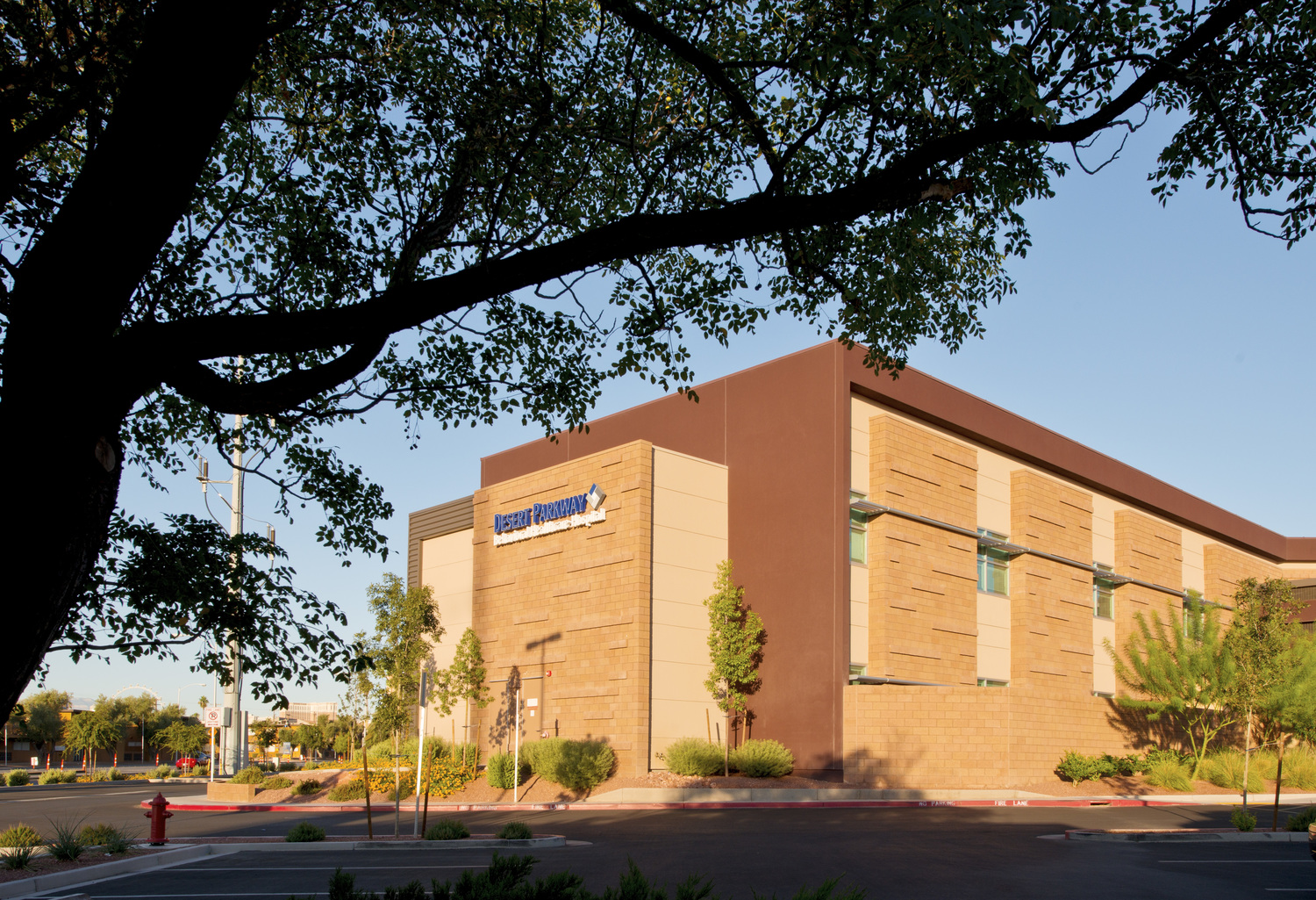 Desert Parkway Behavioral Healthcare Hospital, Psychiatrist, Las Vegas