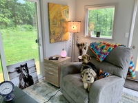 Gallery Photo of Dexter and Piper, my two assistants who listen extremely well !!!