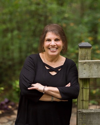 Photo of Laurie Levine, LCSW, Clinical Social Work/Therapist in Herndon