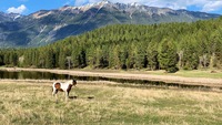 Gallery Photo of Top of the World Ranch sits on 600 acres that backs onto over 20,000 acres of crown land