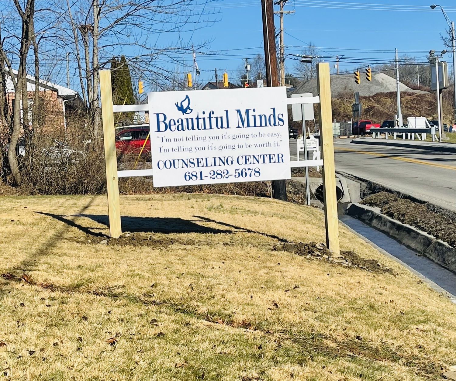 Beautiful Minds Counseling Center, LLC, Licensed Professional Counselor