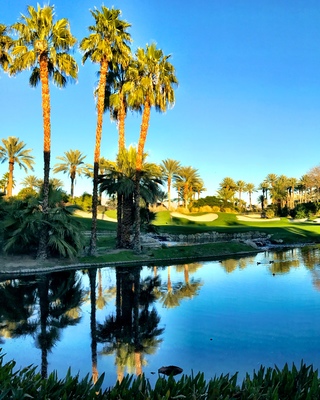 Photo of Tranquil Palms, Treatment Center in Riverside County, CA