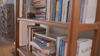 Gallery Photo of Books on the shelf