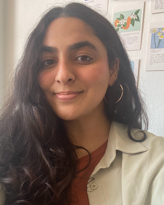 Photo of Bushra Shaheen, Clinical Social Work/Therapist in New York