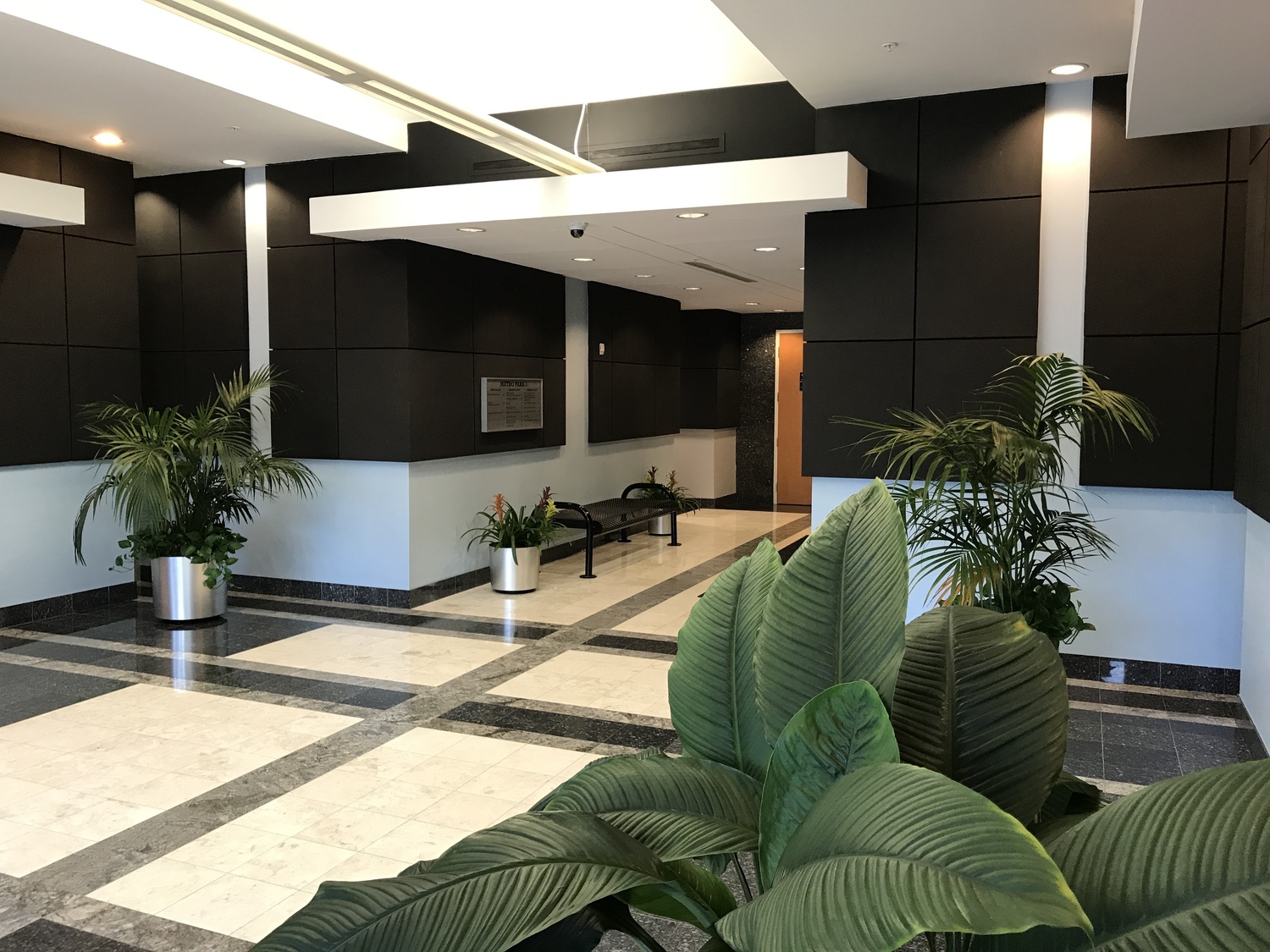 Serene Behavioral Health, Psychiatrist, Orlando, FL, 32835 Psychology