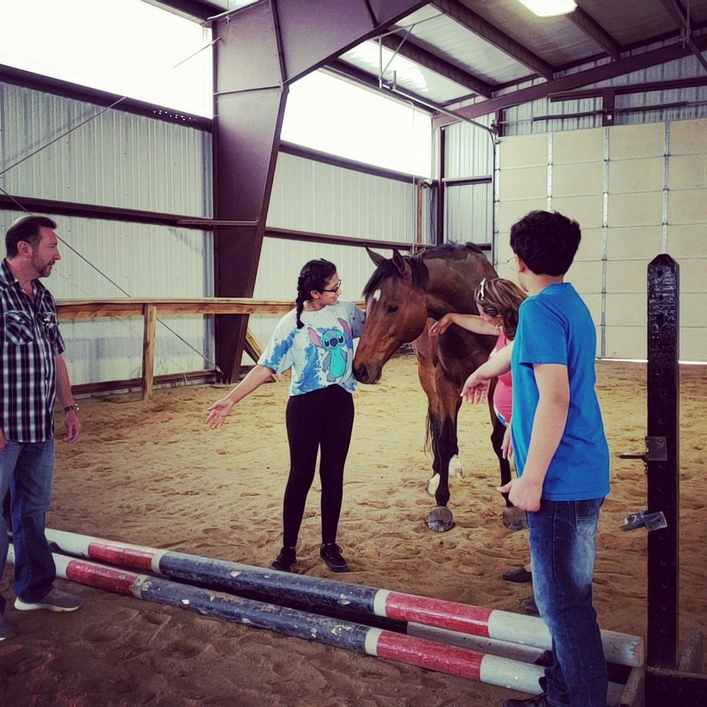 I am able to incorporate equine assisted psychotherapy sessions into our work if requested.