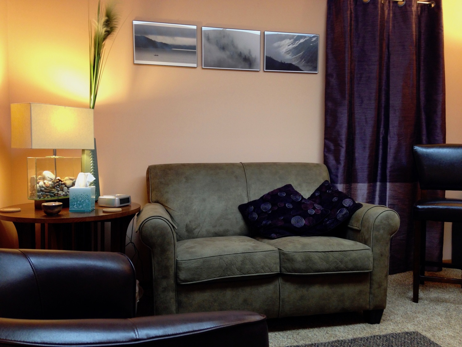 Joyce Pines, Limited Licensed Psychologist, Kalamazoo, MI, 49009