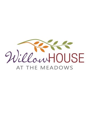 Willow House At The Meadows Treatment Center Wickenburg AZ 85390   320x400 