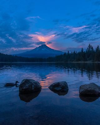 Photo of Cascades Wellness Center, Psychologist in Washington