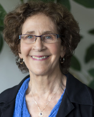 Photo of Linda Kramer LICSW, Clinical Social Work/Therapist in Wellesley, MA