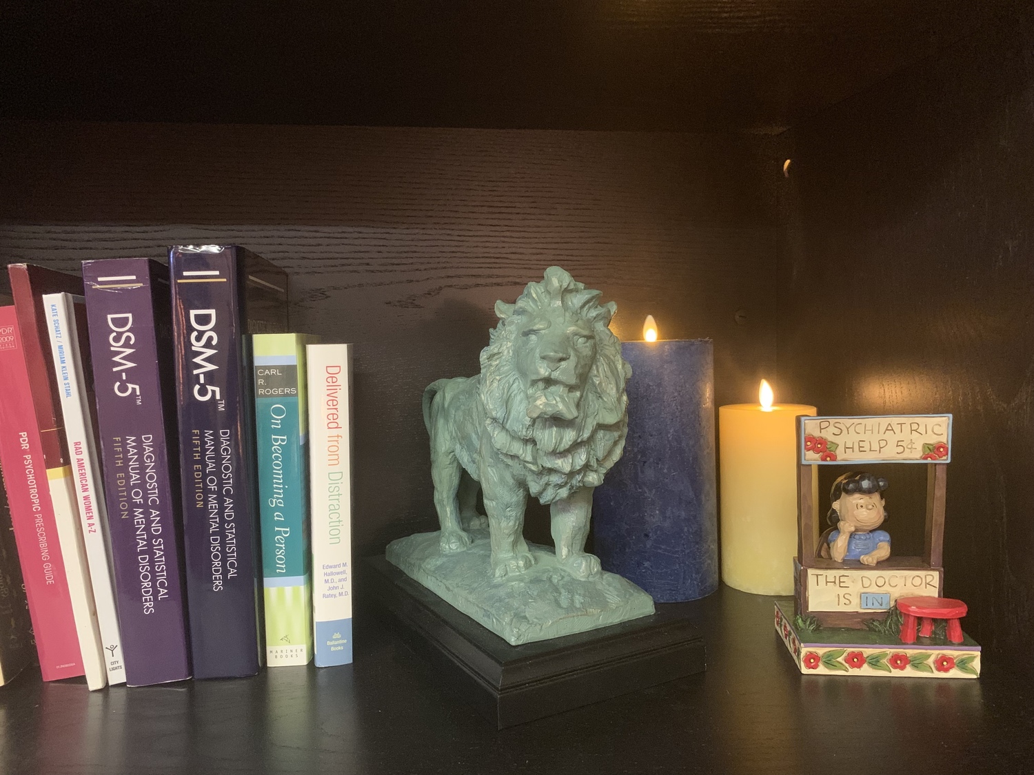 Gallery Photo of Books of the trade, Lucy, and my favorite Chicago lion bookend!