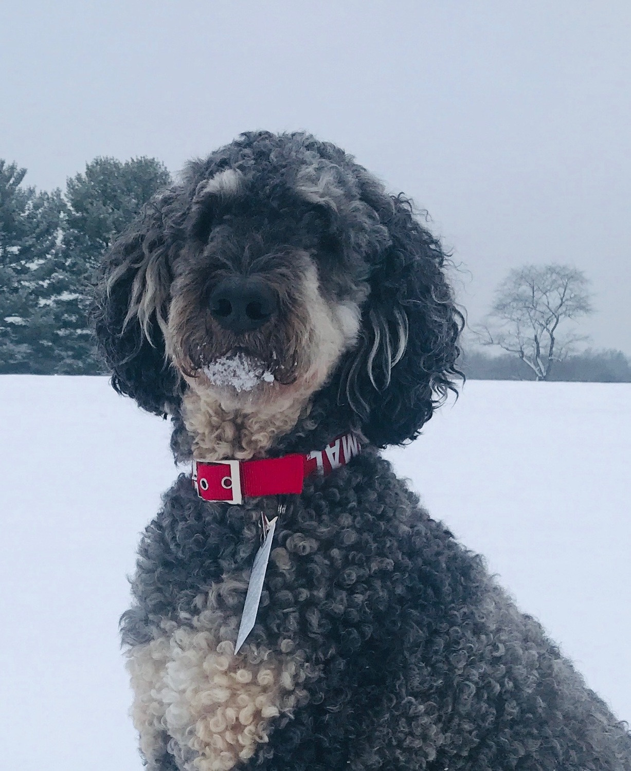 Eva Brown, Clinical Social Work/Therapist, Winchester, VA, 22601