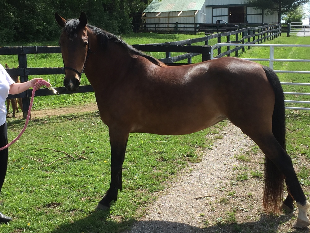 Jennifer Sutherland, Psychologist, Lexington, KY, 40511 Psychology Today