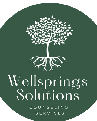 Photo of Wellsprings Solutions, Licensed Professional Counselor in Pottsville, PA