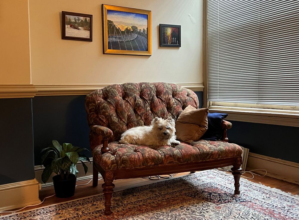 Carrick, Th.D. (Therapy Dog) waiting for our next client