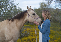 Gallery Photo of equine therapy drug rehab arizona