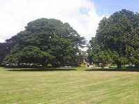 Gallery Photo of Hesslewood Hall grounds