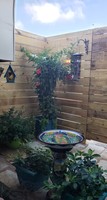 Gallery Photo of patio garden view from therapy space
