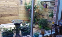 Gallery Photo of patio garden view from therapy space
