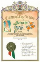 Gallery Photo of Foster Care Hero Award from Los Angeles County for work with Foster Families in Los Angeles.