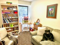 Gallery Photo of Plenty of space to engage in play therapy and also a nice comfy couch and stuffed frog to comfort you through those rough days.