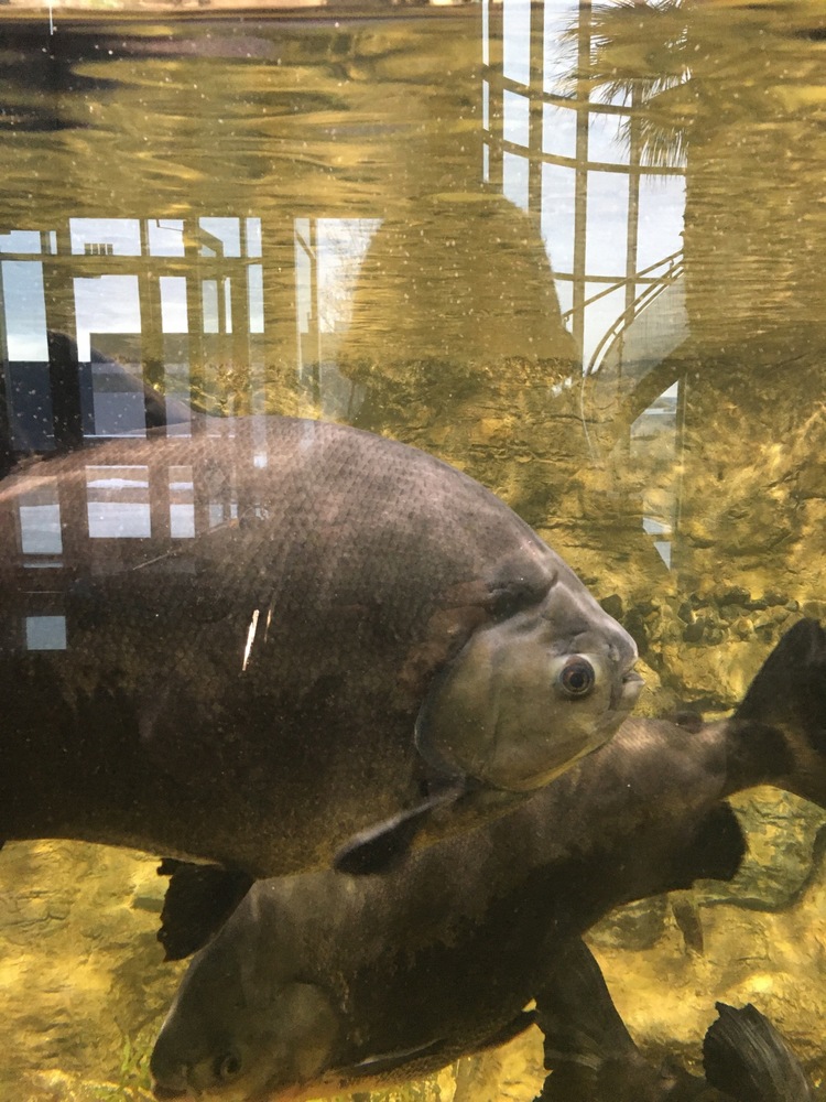 Dr. Katrina at Individual Matters, PsyD, Psychologist, Grand Junction