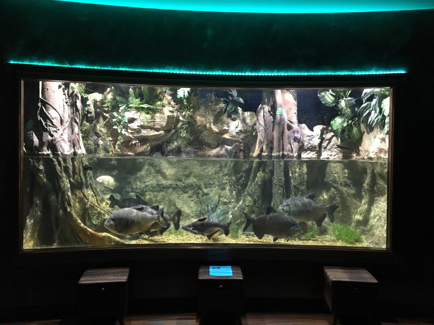 Dr. Katrina at Individual Matters, PsyD, Psychologist, Grand Junction