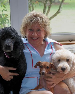 Photo of Susan Lake-Rawson, Clinical Social Work/Therapist, LCSW