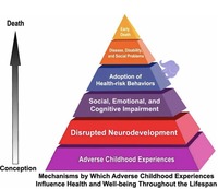 Gallery Photo of How adverse childhood experiences (ACE's) impact physical and mental health throughout life