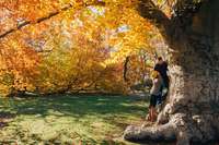 Gallery Photo of Marriage counseling Westwood New Jersey