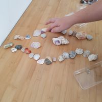 Gallery Photo of Crystals and shells are used with children to tell a story or assign family members. 