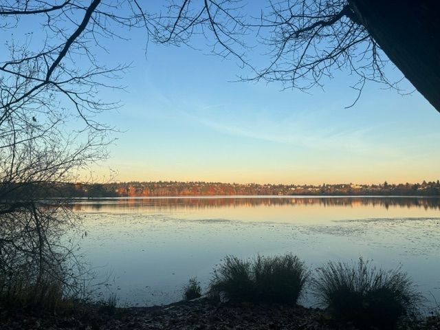 Green Lake provides a great setting for walk-and-talk sessions, also known as nature-based therapy.