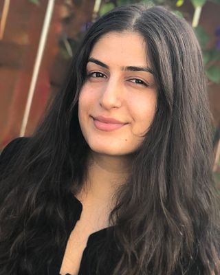 Photo of Hawer Kadir Sheikhly, Licensed Professional Counselor, LPC