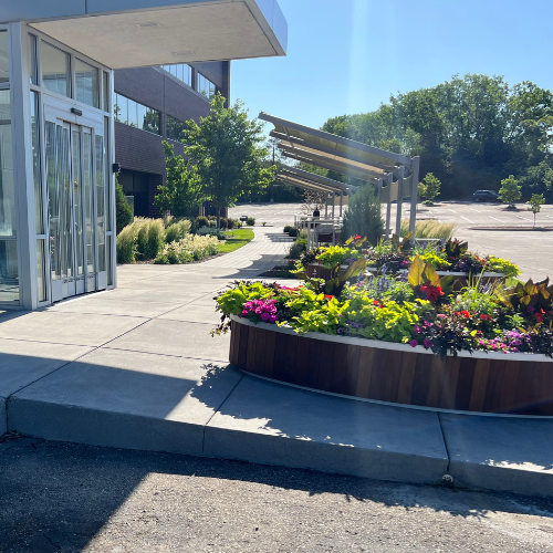 Allison Burford, Counselor, Edina, MN, 55435 Psychology Today