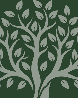Photo of Brianna Muldoon - Mother Tree Mental Health, Clinical Social Work/Therapist, MA, AASW