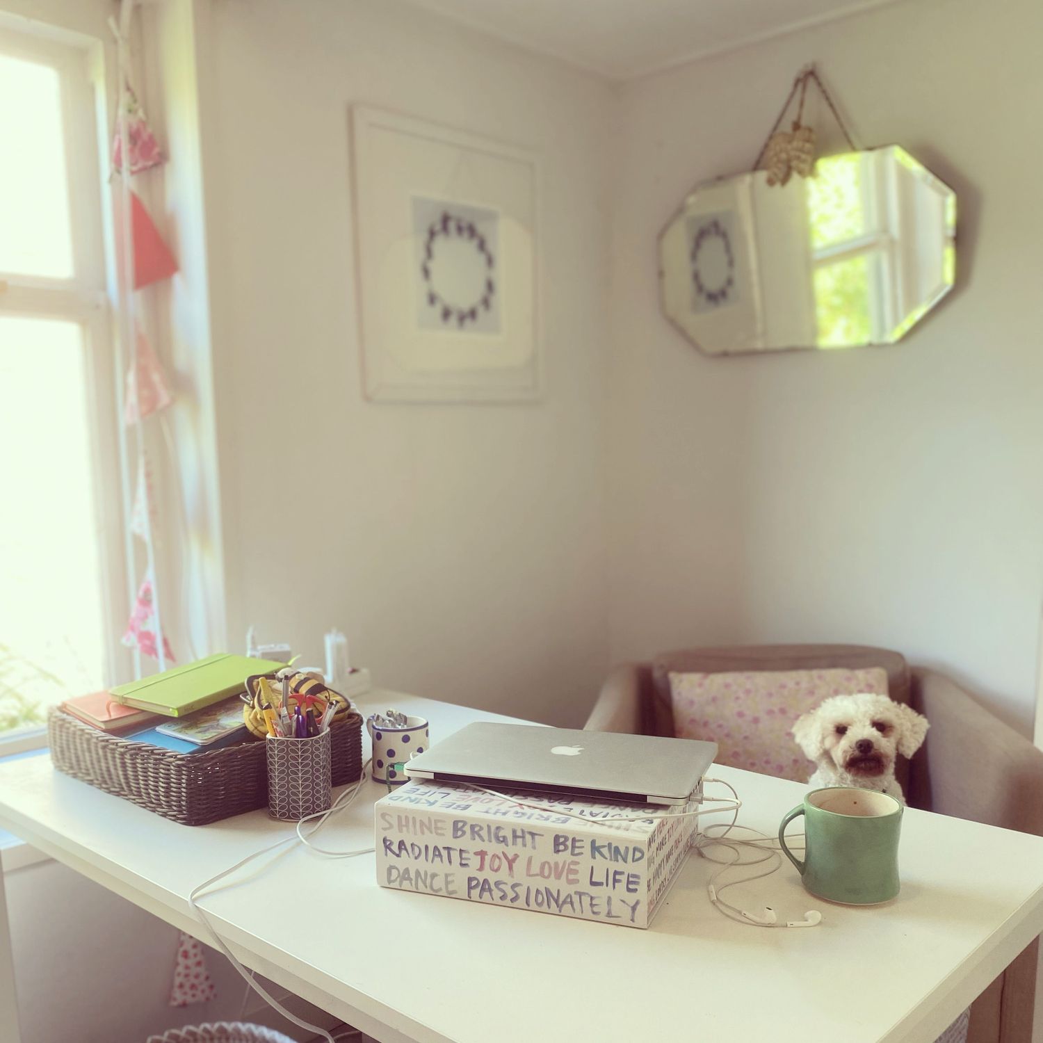 Gallery Photo of My therapy room (and sometimes office assistant, Daphne!)